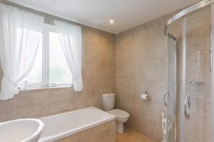 Photo 13- click for photo gallery